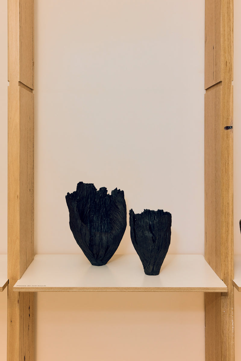 Lorraine Dean — 'Hush', Sculptural Pair, 2024 — Winner