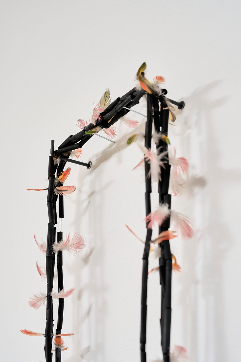 Molly Mahoney — 'Yalinwa(sky)', (2025)