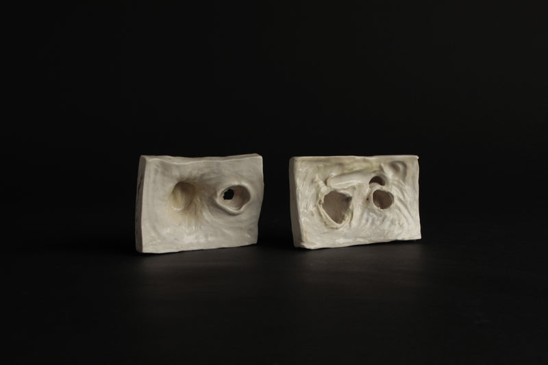 Rachelle Austen – 'Viscerum and Dyptych, Fertilitas' Sculptural Pair