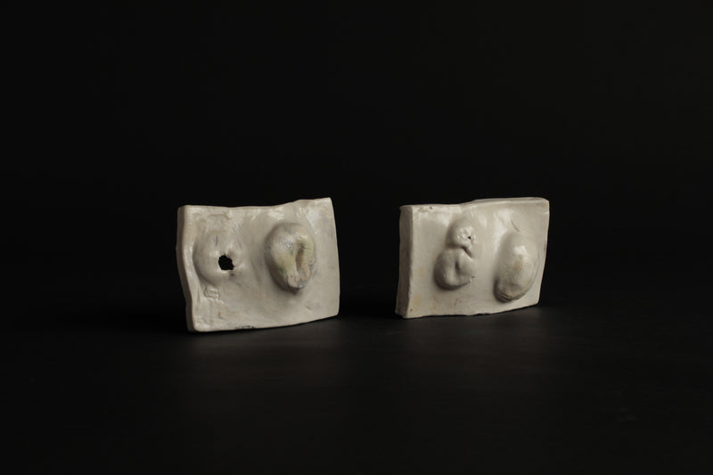 Rachelle Austen – 'Viscerum and Dyptych, Fertilitas' Sculptural Pair