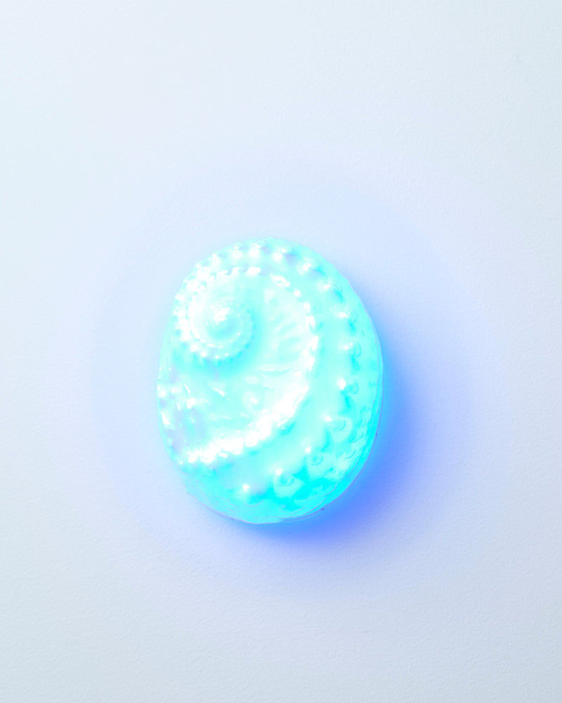 Katherine Hubble — 'Out of your shell #II', Wall Light, 2024
