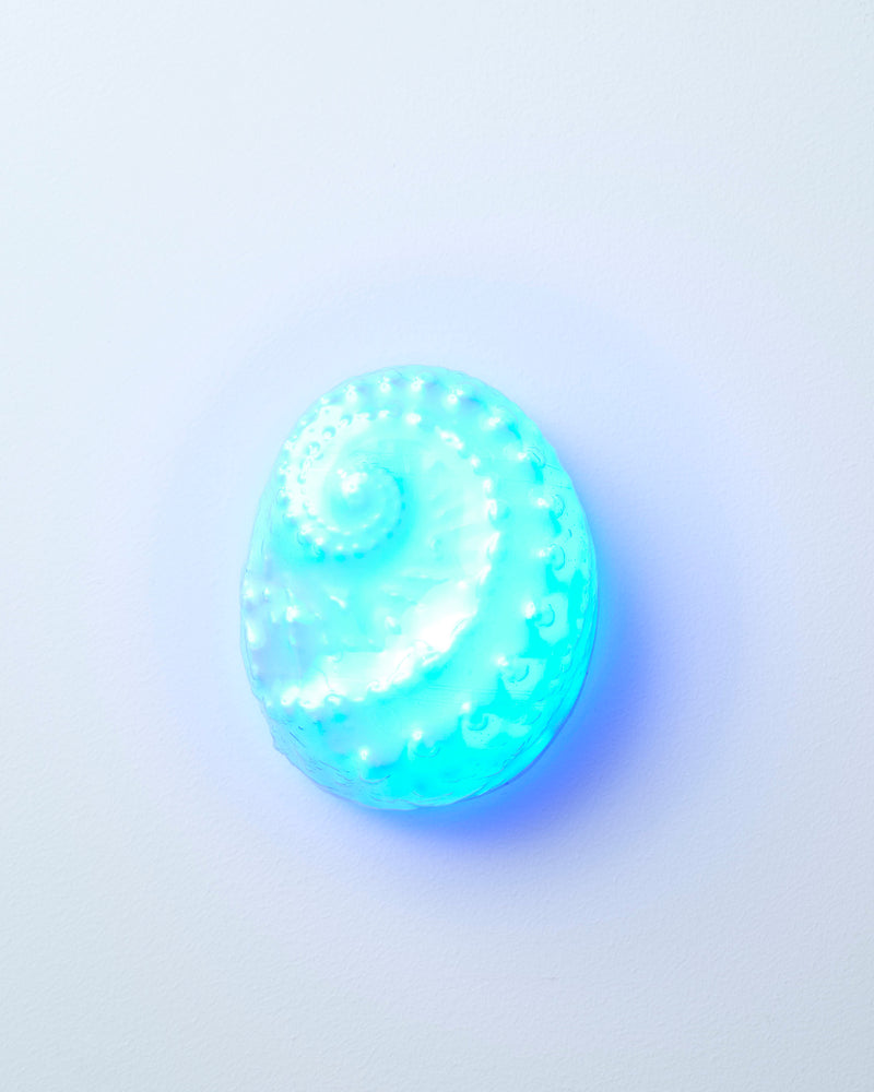 Katherine Hubble — 'Out of your shell #III', Wall Light, 2024