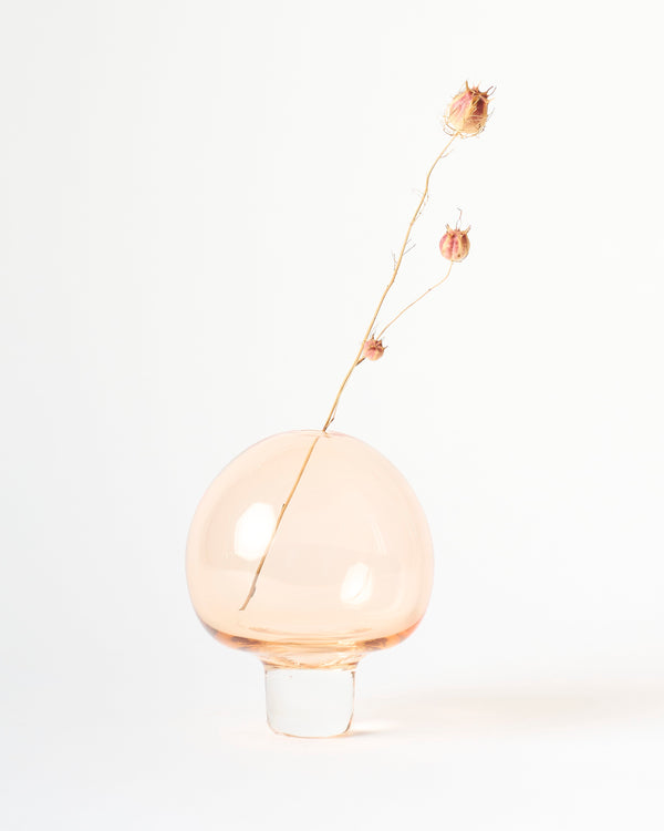 Amanda Dziedzic — 'Yumemiru' in Peach