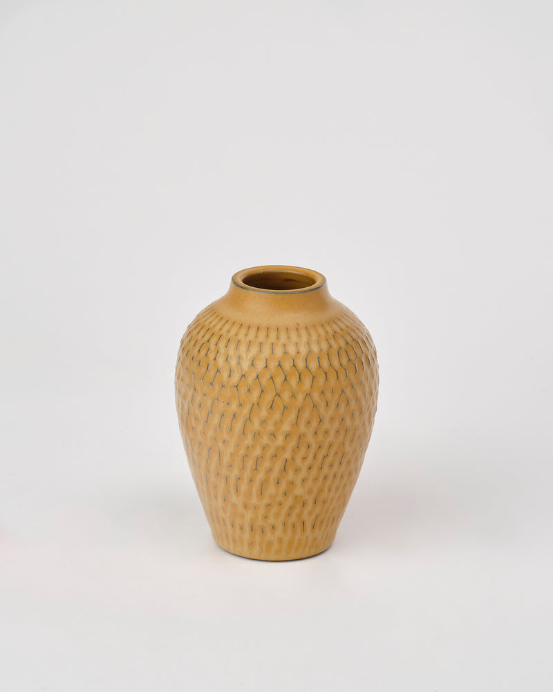 Asahi So —   Medium Carved Budvase in Pumpkin