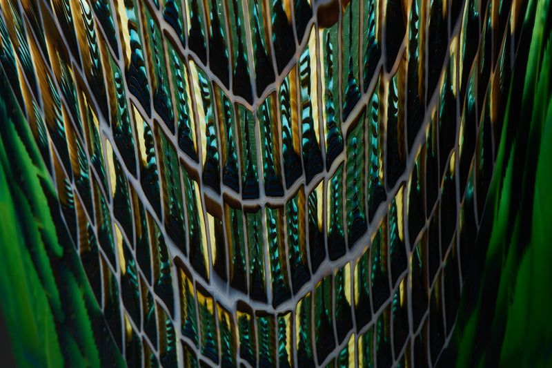 Cheryl Edwards — 'Atlantis #3', 2025