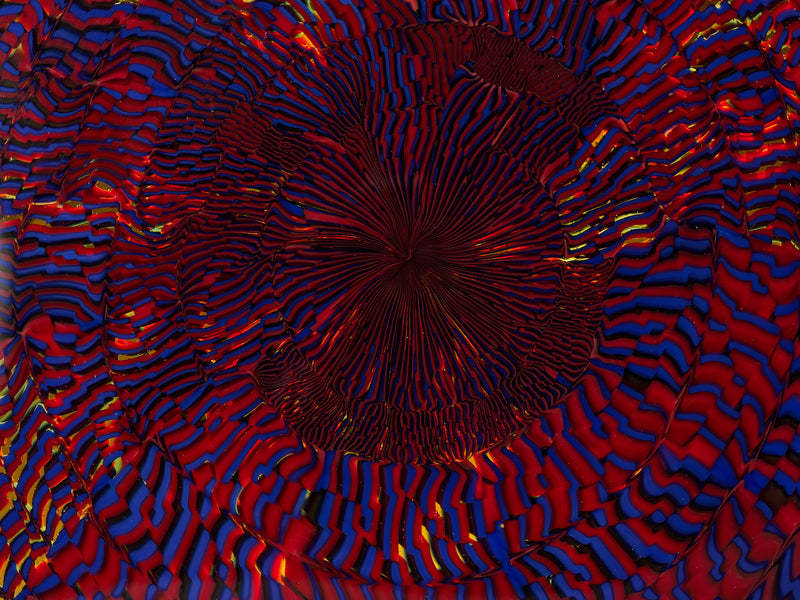 Juniper Maffescioni — 'At the End of the Day, It's Just a Really Nice Circle', 2025