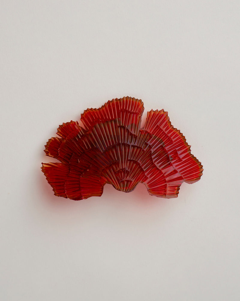 Kath Inglis  — 'Stypopodium - Reds' Brooch