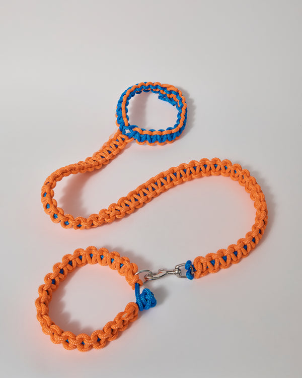Luke George — 'Collar & Leash Set' in Orange and Blue, 2024