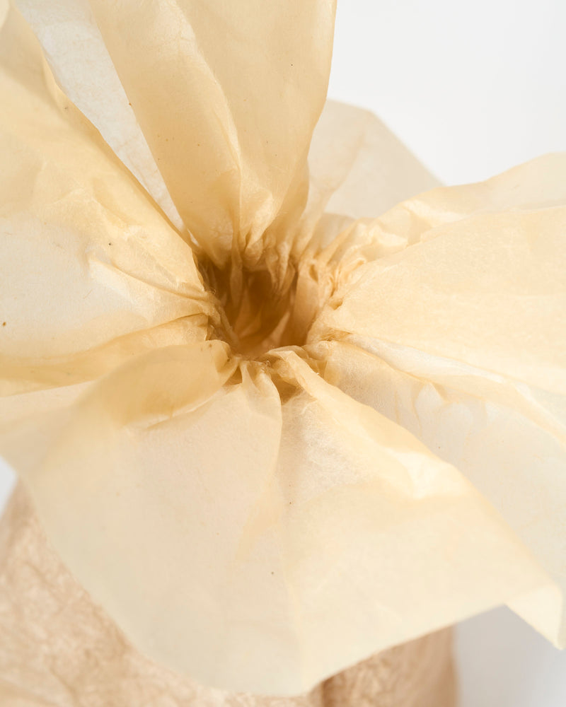 DNJ Paper – 'Medium Gathering' Vase in Camelia