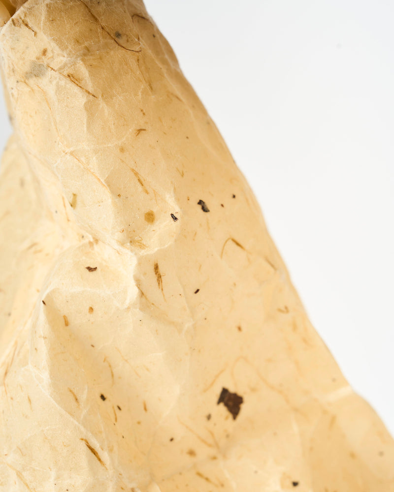 DNJ Paper – 'Medium Gathering' Vase with Bark Inclusion