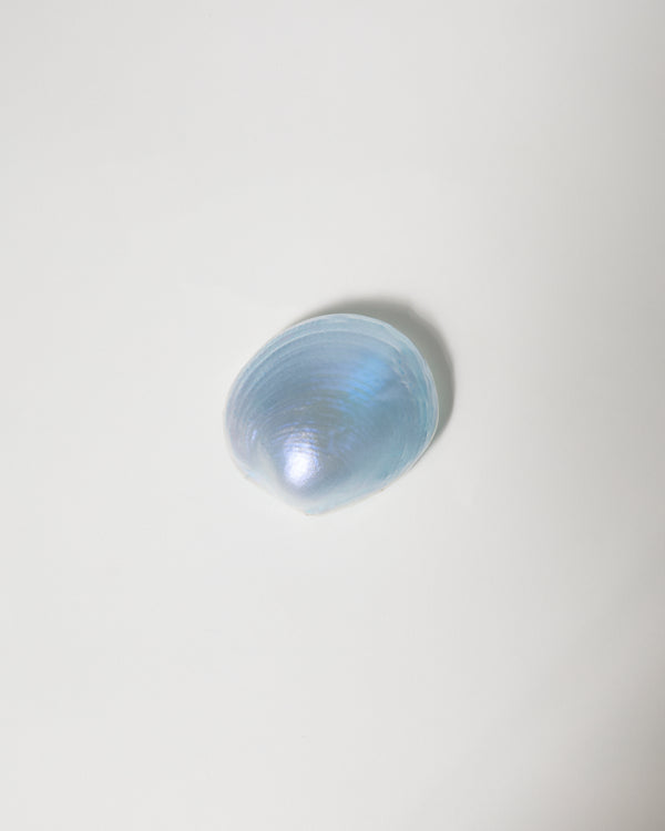 Katherine Hubble — 'Lustre Series' Shell Brooch in Light Blue