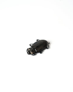 Samantha Dennis – 'Coleoptera' Series Brooch (Metallic Small Horns)