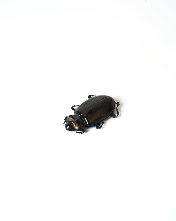 Samantha Dennis – 'Coleoptera' Series Brooch (Metallic Small Horns)