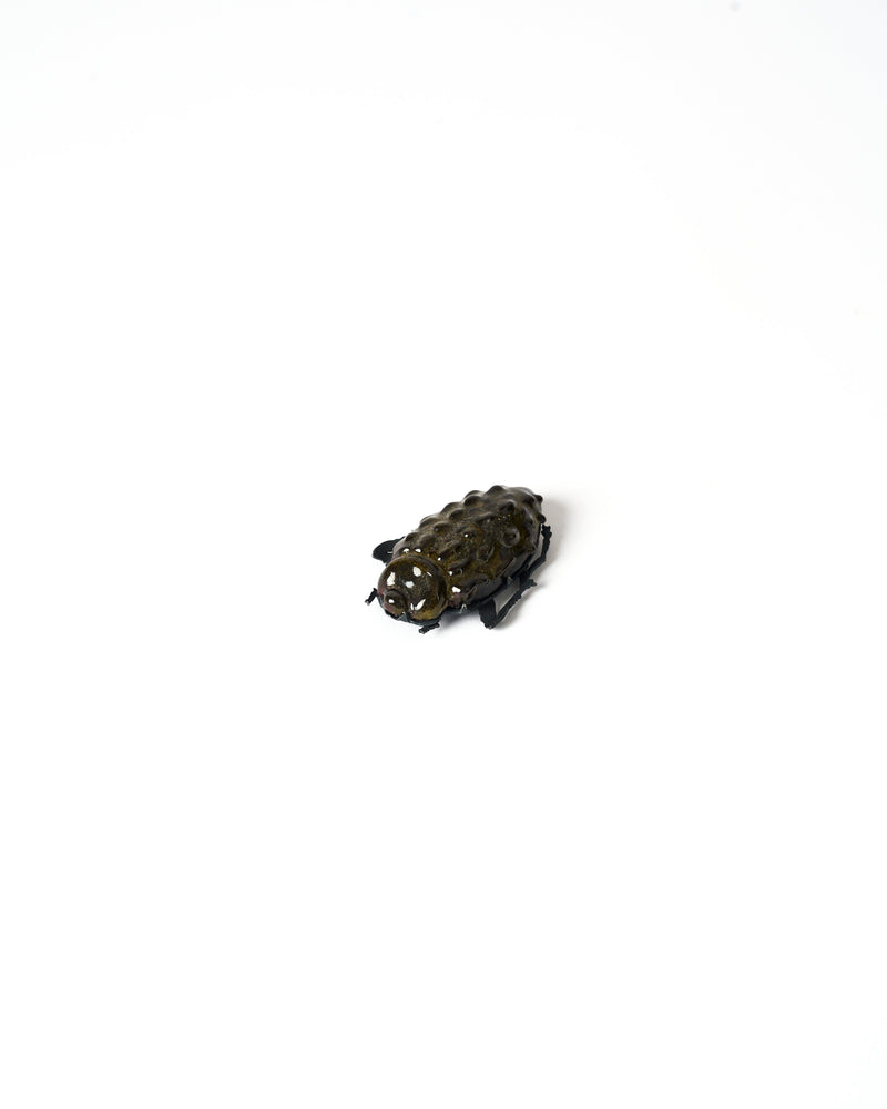 Samantha Dennis – 'Coleoptera' Series Brooch  (Bumpy Elytra)