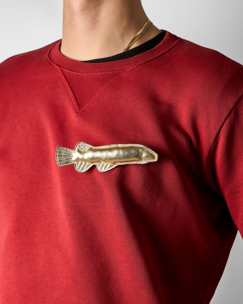 Gabbee Stolp — 'Golden Galaxias' Brooch