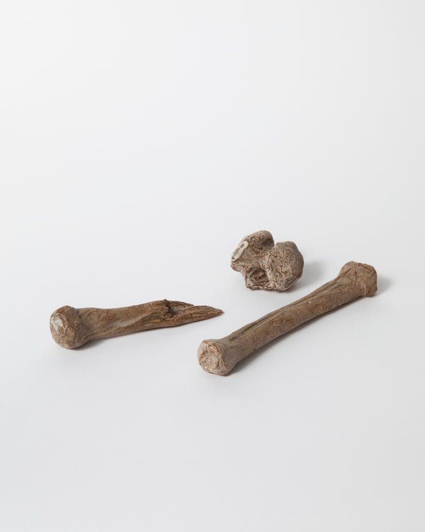 Claybia – 'Pile of Tan Bones', 2023