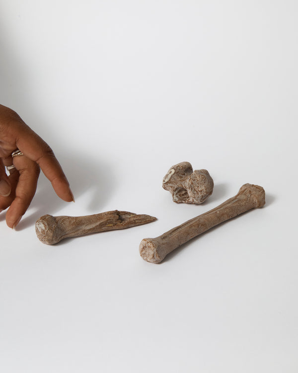 Claybia – 'Pile of Tan Bones', 2023