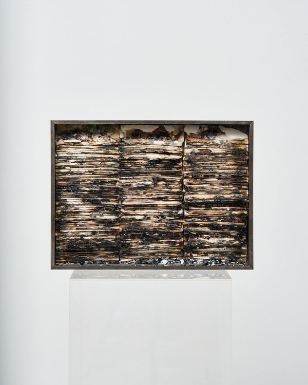 Hootan Heydari  —   The Evidence (8440g), 2023