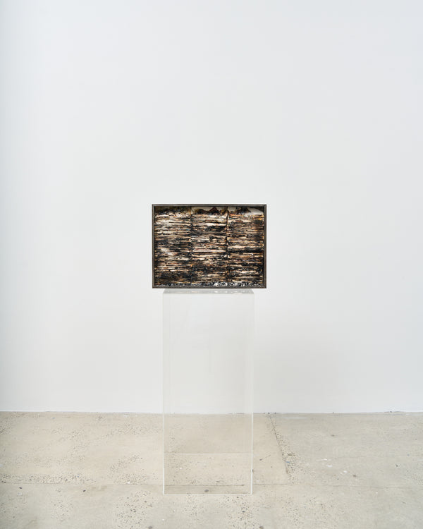 Hootan Heydari  —   The Evidence (8440g), 2023