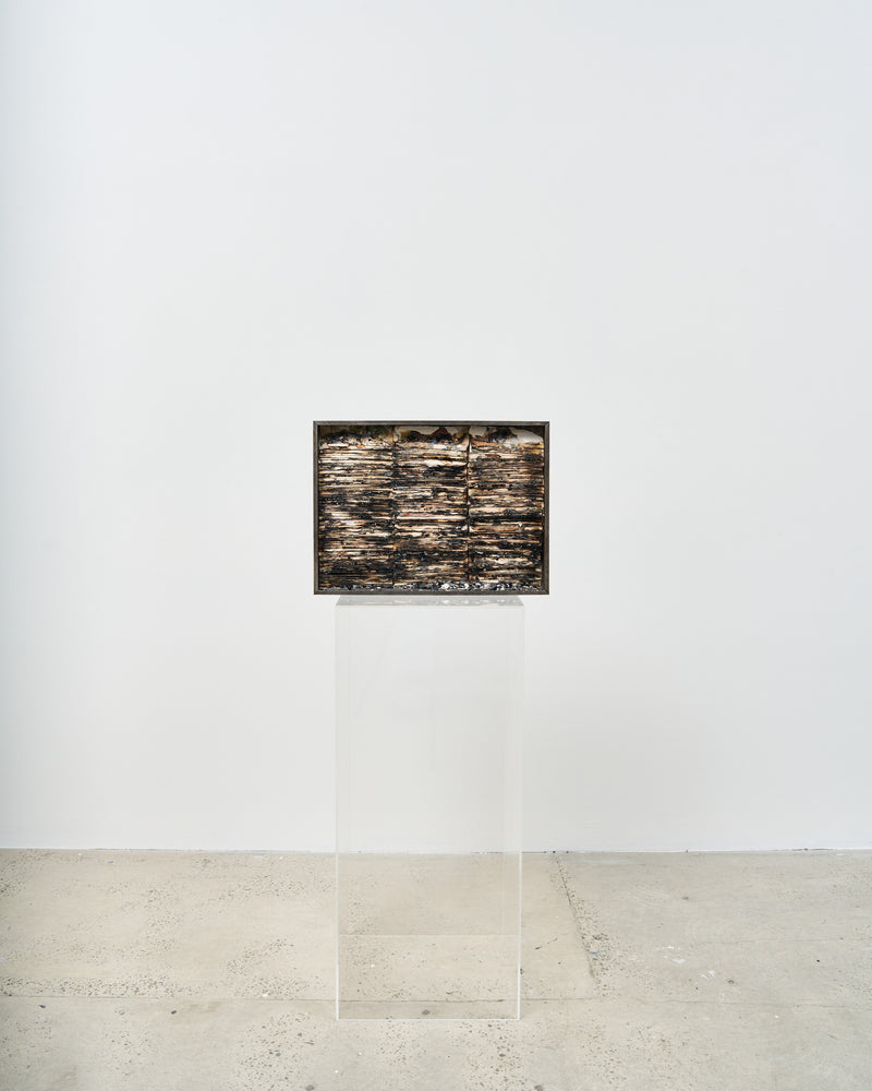 Hootan Heydari  —   The Evidence (8440g), 2023