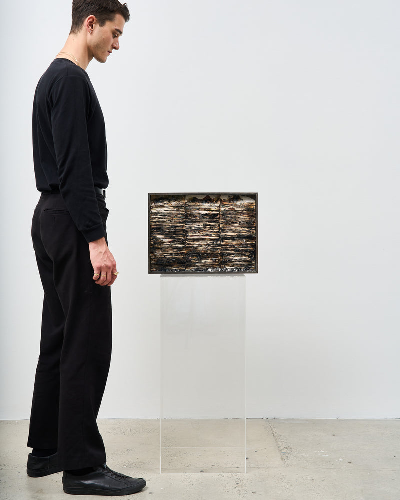 Hootan Heydari  —   The Evidence (8440g), 2023