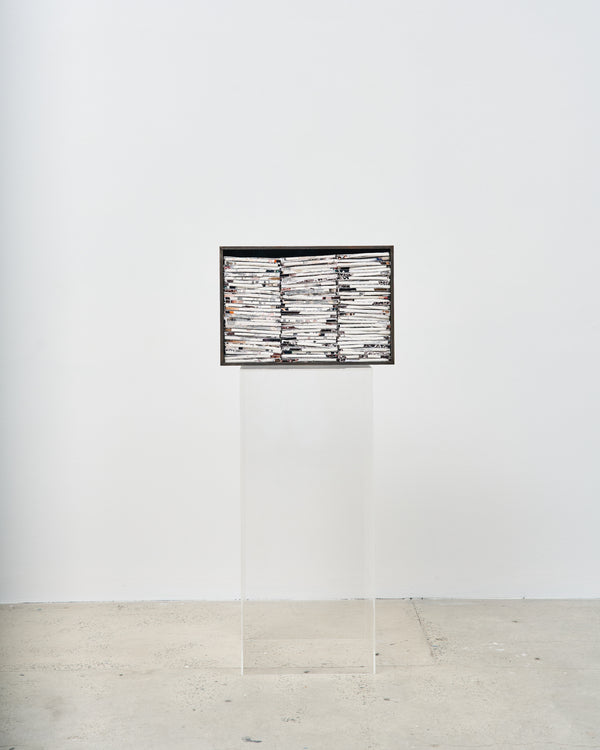 Hootan Heydari  —   The Evidence (4865g), 2023