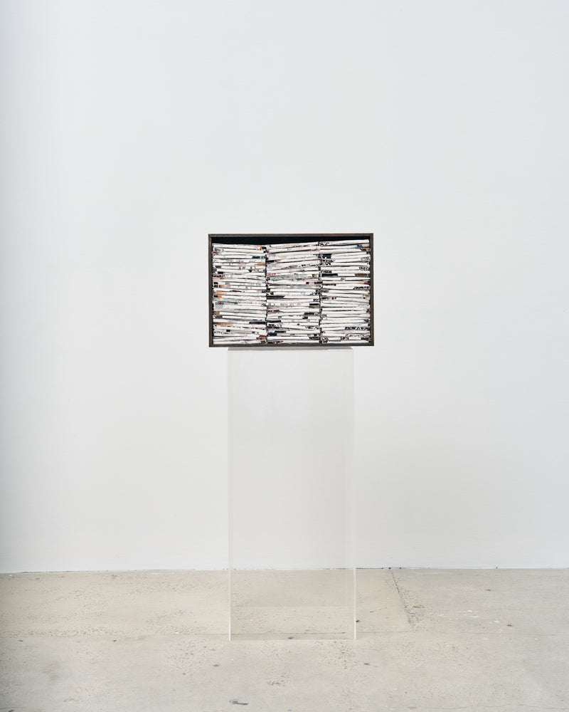 Hootan Heydari  —   The Evidence (4865g), 2023