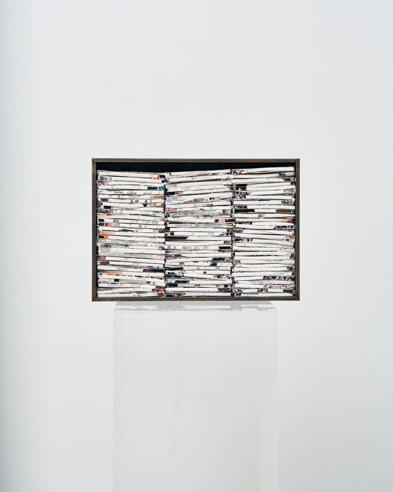 Hootan Heydari  —   The Evidence (4865g), 2023