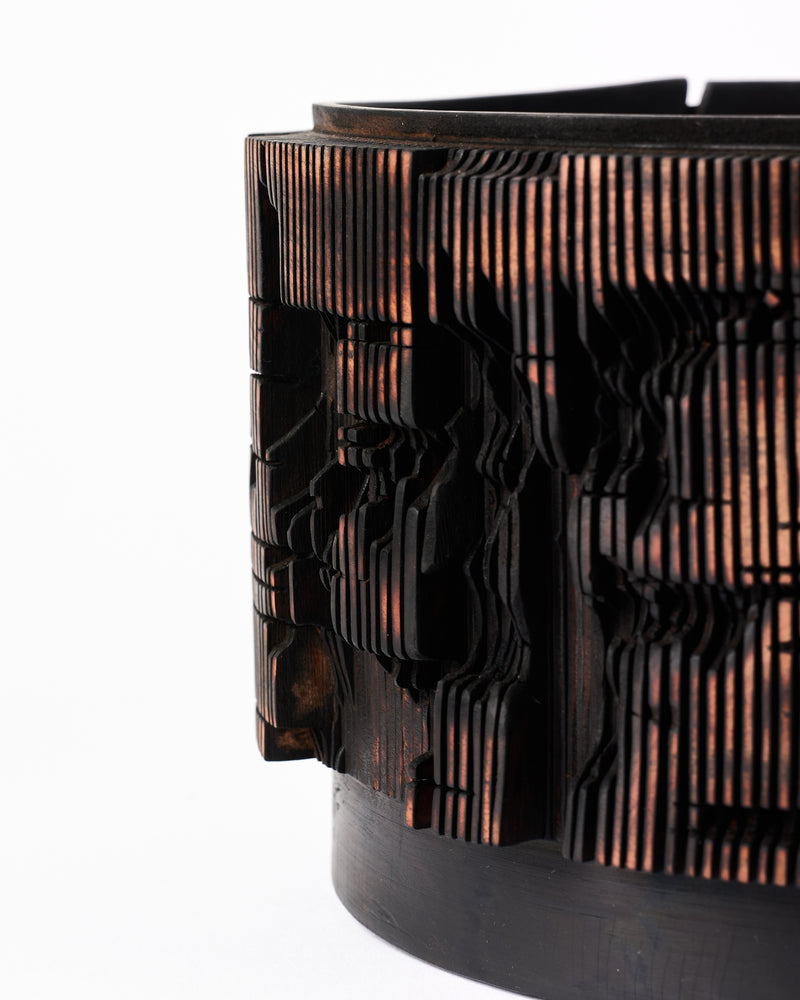 Sam Woo-Ram Choi — Forgotten Wood, Reborn I, 2025