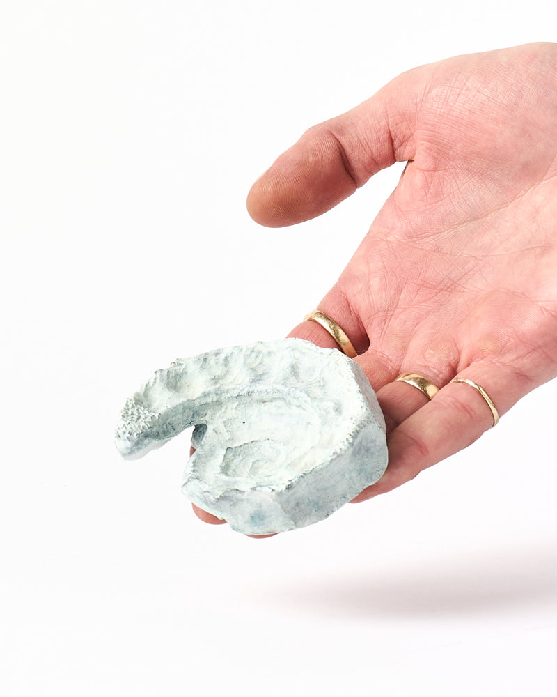 Alana Wilson —  Midden Excerpt, 2025