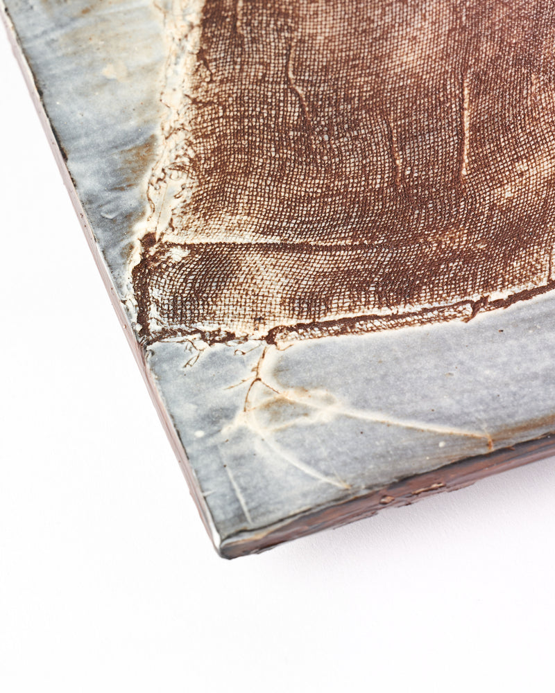 Rachelle Austen — Exuviae - Remains, 2025