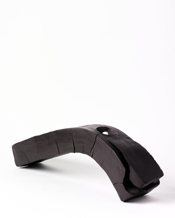 Rachelle Austen — Acceptio - Naturalis Mutatio, 2025