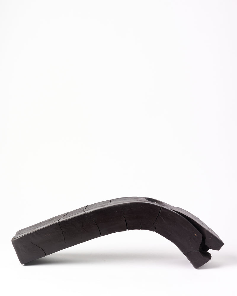 Rachelle Austen — Acceptio - Naturalis Mutatio, 2025