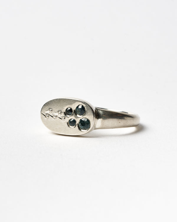 Danielle Barrie  — 'Shrug' Ring #3