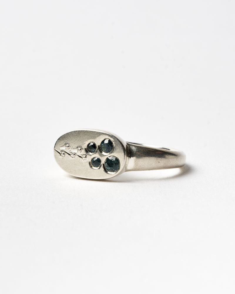 Danielle Barrie  — 'Shrug' Ring #3
