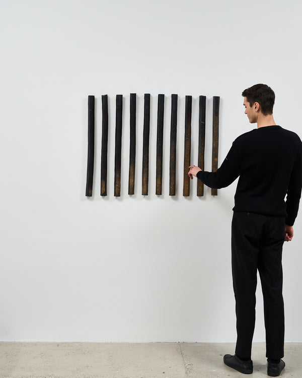 Steve Lees —  Ash Line, 2025