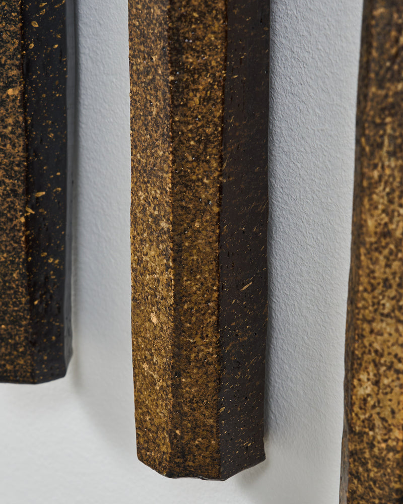 Steve Lees —  Ash Line, 2025