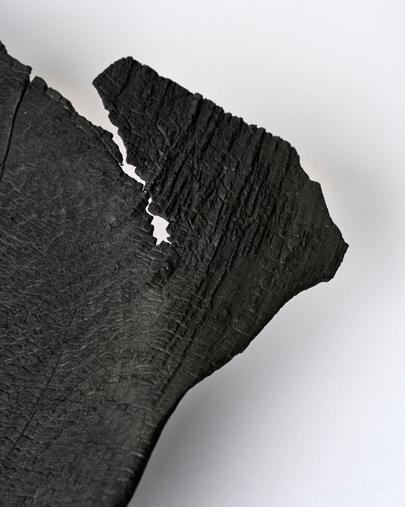 Makiko Ryujin  — Shinki #205, 2022