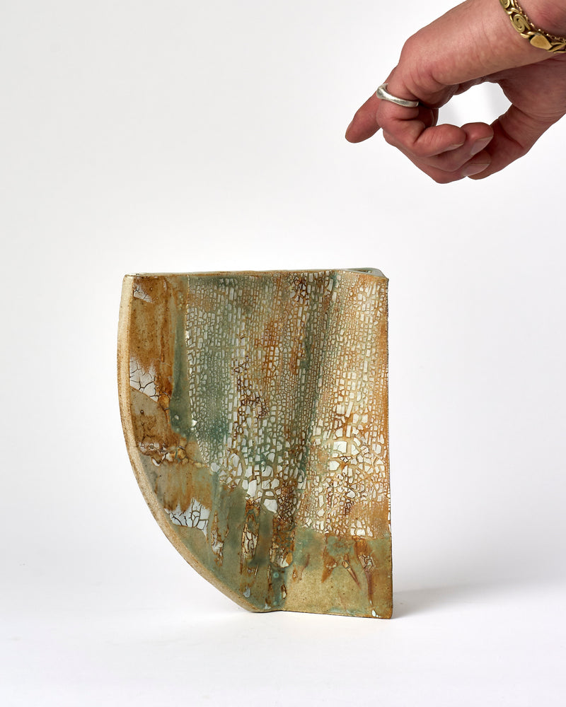 Angela Hayes  — Lichen Veil Arc, 2025