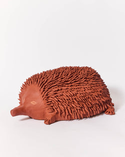 Raphy — 'Echidna' Sculptural Ceramic, 2025 - ON HOLD