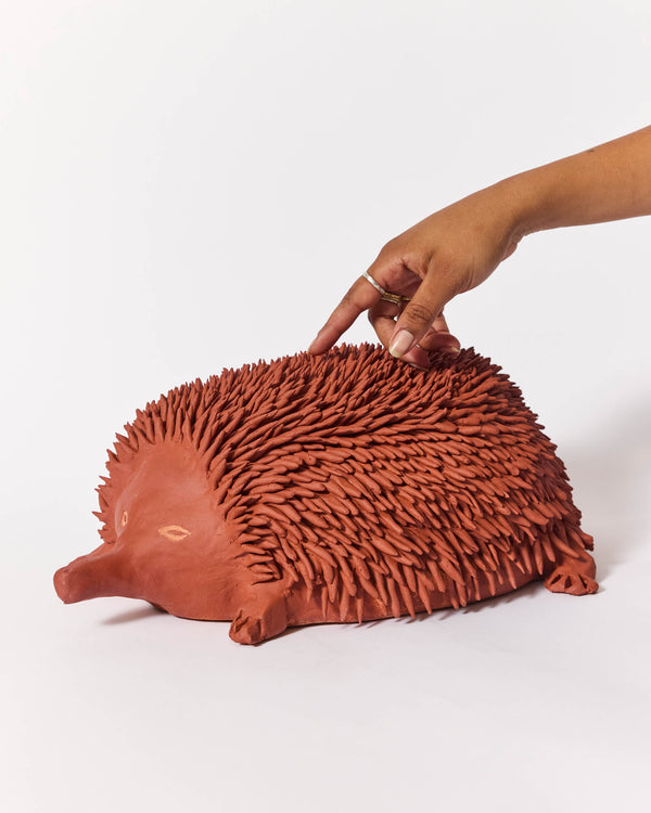 Raphy — 'Echidna' Sculptural Ceramic, 2025 - ON HOLD