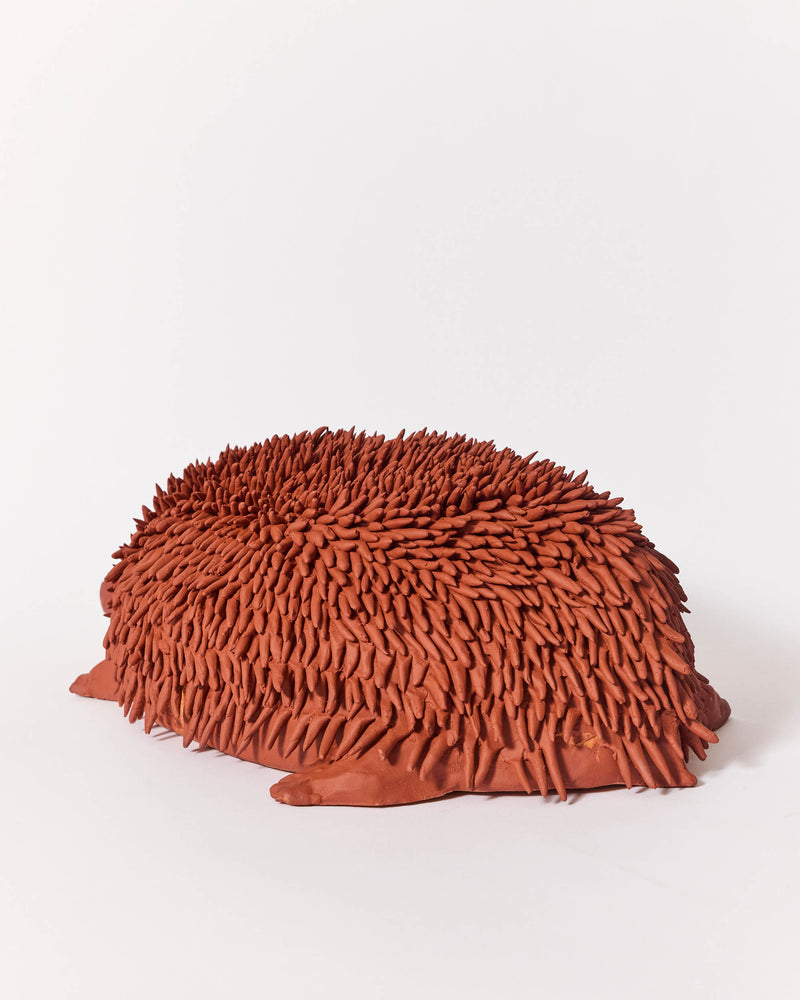 Raphy — 'Echidna' Sculptural Ceramic, 2025 - ON HOLD