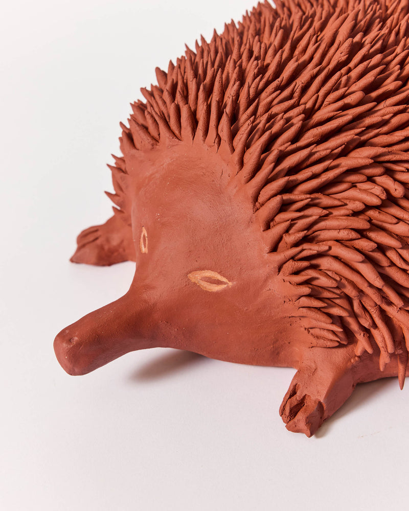 Raphy — 'Echidna' Sculptural Ceramic, 2025 - ON HOLD