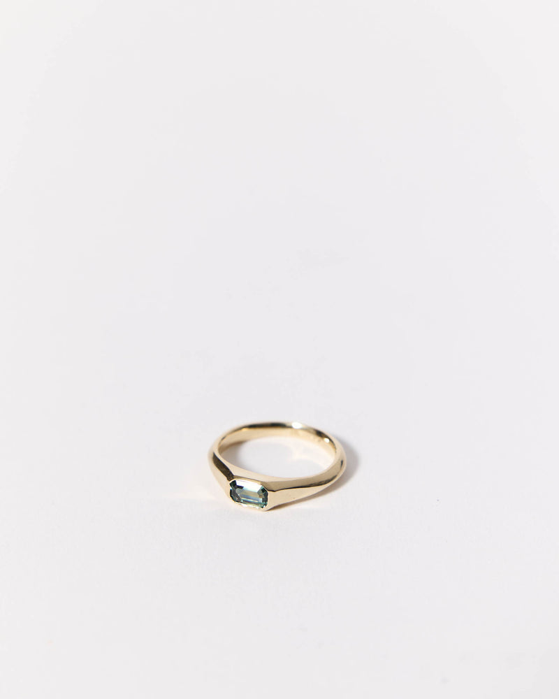 Abby Seymour — 'Poly-Modo Signet' Ring in Gold and Parti Sapphire