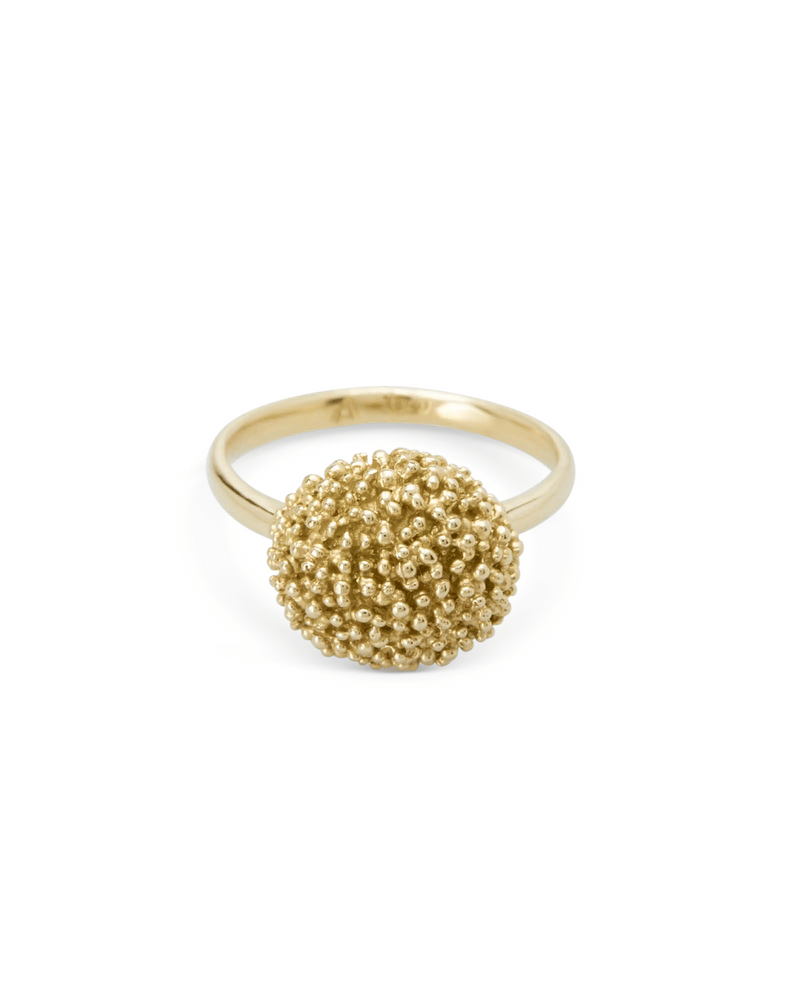 Abby Seymour — 'Arena' Ring in 9kt Gold