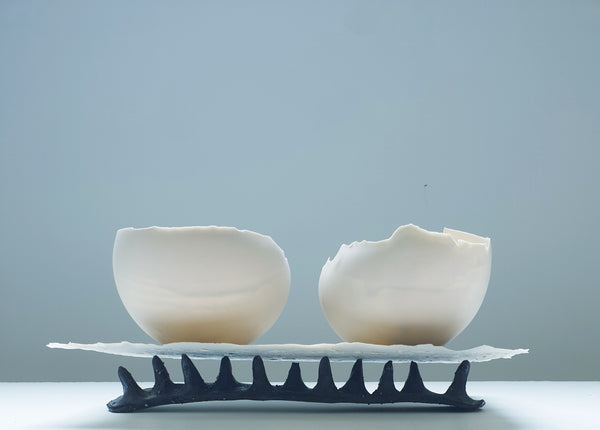 Richard Monger — Fusion 22.96, 2022