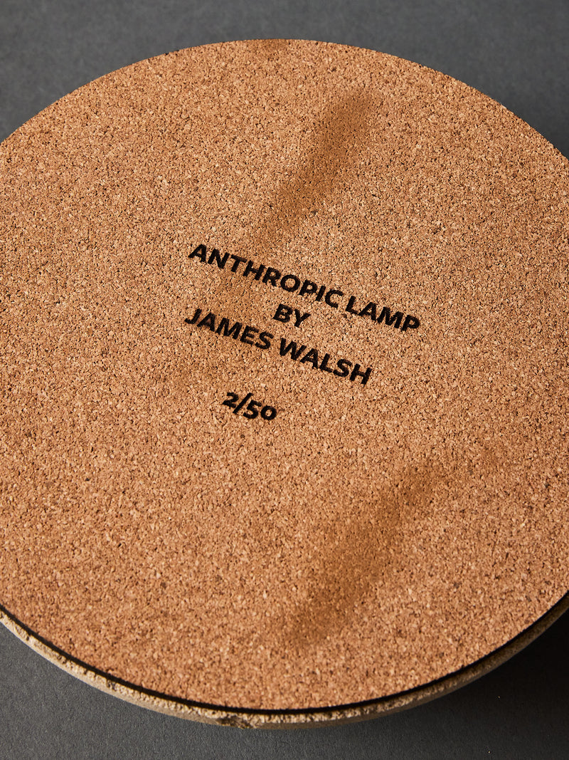 James Walsh — Anthropic Table Lamp series, 2022