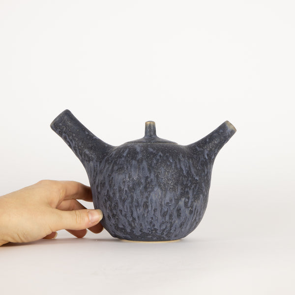 Christopher Plumridge  —  'Bird' Teapot in Matte Black Crystal Matte