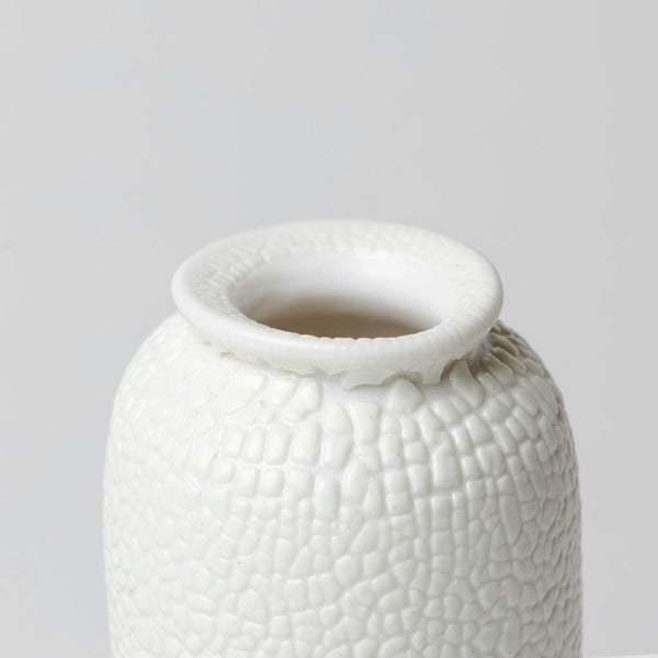 Vanessa Lucas — Nivosa Vase in White Crawl Glaze