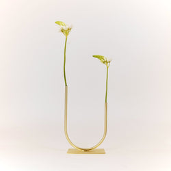 Anna Varendorff, ACV studio —Short 'Uneven U' Thin Tube Vase in Brass